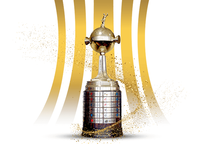 botafogo lider